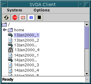 The main view of the SVDA
	  client